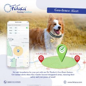 616g2OUR9TL._SL1080_05