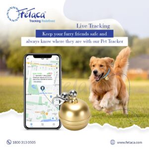 619GtFMqXLL._SL1080_03