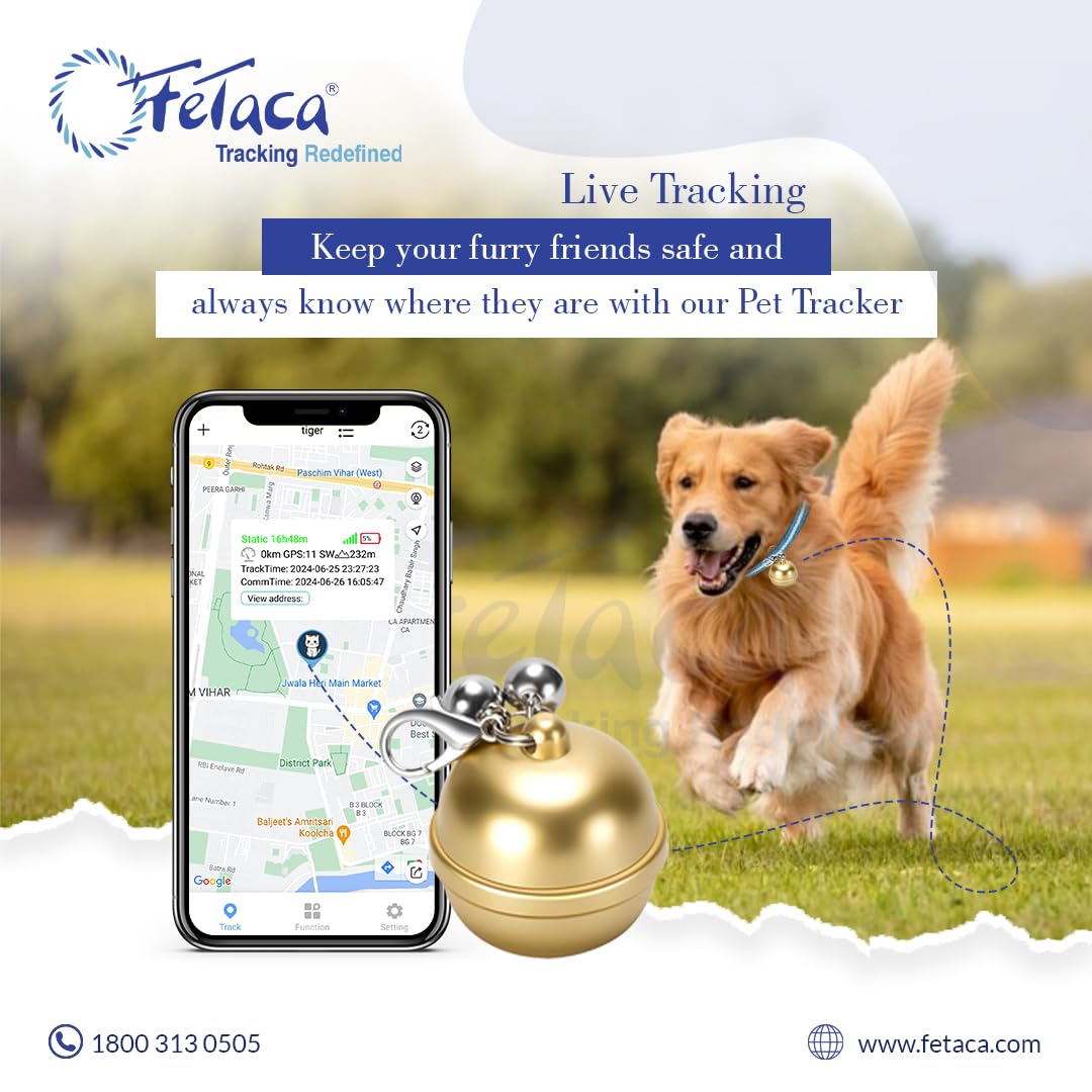 619GtFMqXLL._SL1080_03