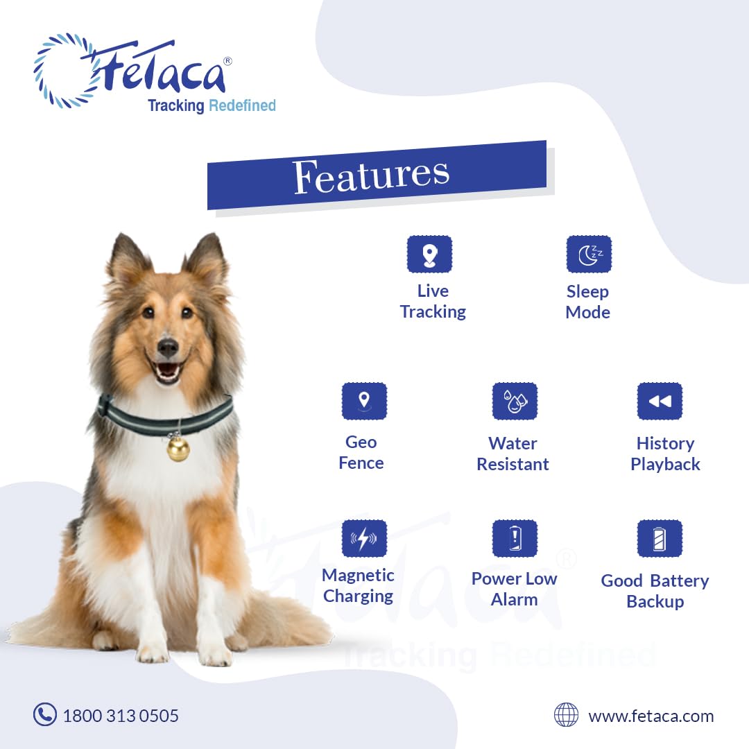 61dDWUajpCL._SL1080_02