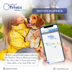 71TnGJ9daZL._SL1080_04